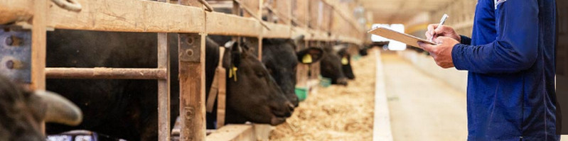 �[���R�N�ƍ��΂��������@���ݗ����@�������n�q��


���T�C�g